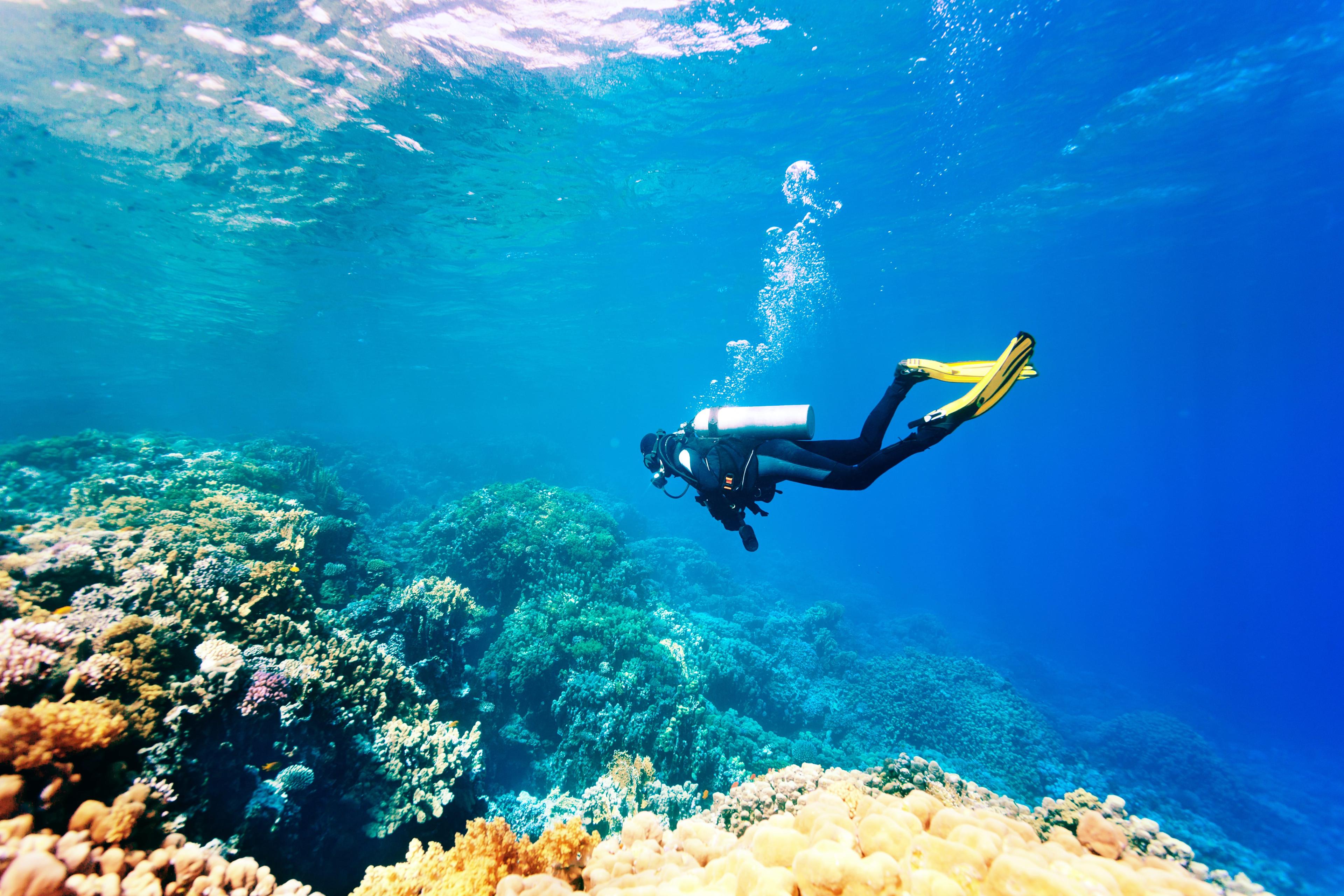 Free Diving – Snorkelling Or Kayaking?